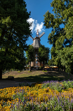00A220911D018CAROEX.JPG