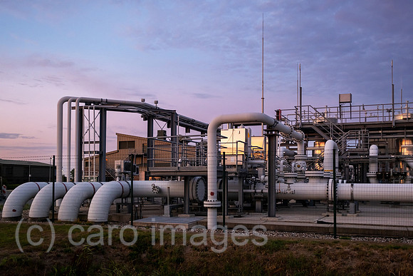00A220829D106CAROEX.JPG