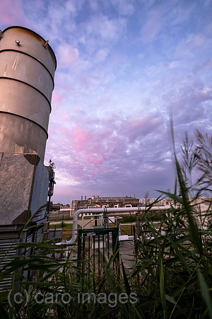 00A220829D097CAROEX.JPG