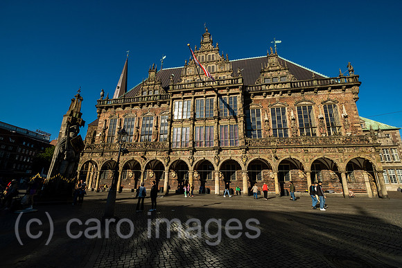00A220911D028CAROEX.JPG