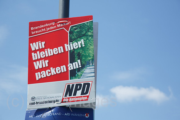 00F140501D121CARO.JPG