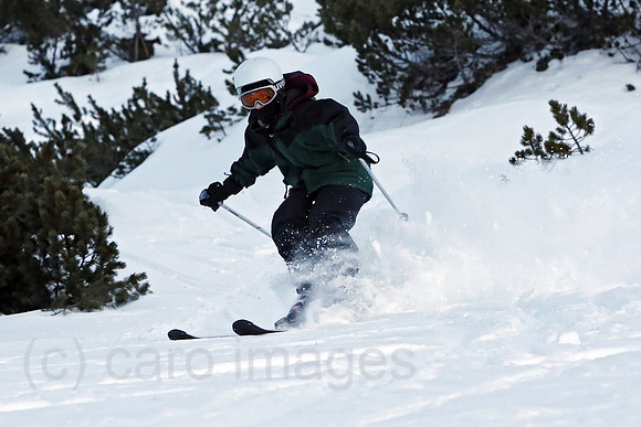 00S140205D071CARO.JPG