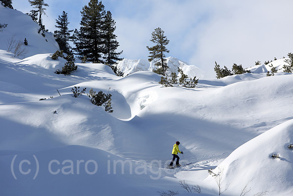 00S140206D036CARO.JPG