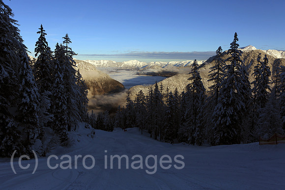00S140208D014CARO.JPG