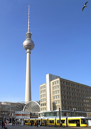 00S140309D824CARO.JPG