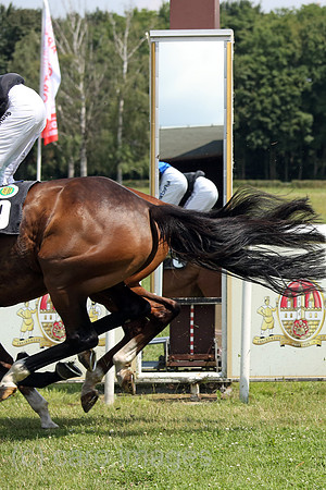 00S170715D610CARO.JPG