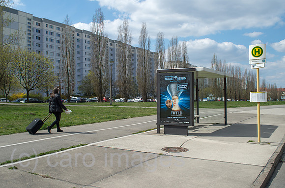 0CE150419D002CARO.JPG