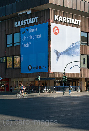 0CE141019D003CARO.JPG