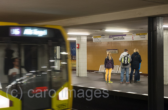 0CE141020D006CARO.JPG
