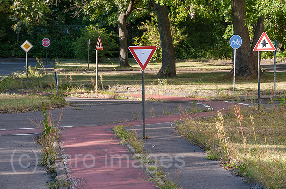 0CE140828D014CARO.JPG