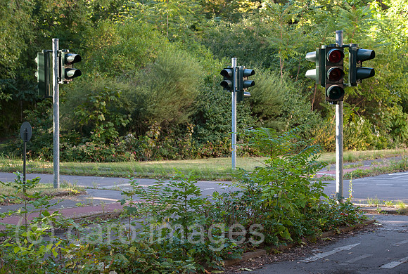 0CE140828D021CARO.JPG