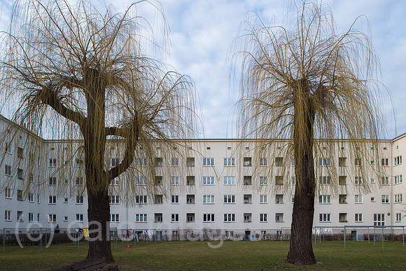 0CE150308D043CARO.JPG