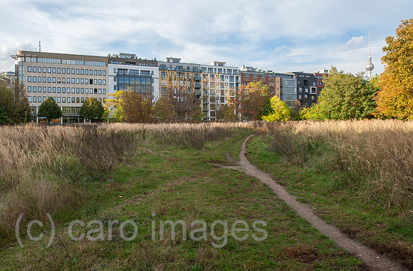 0CE141014D009CARO.JPG