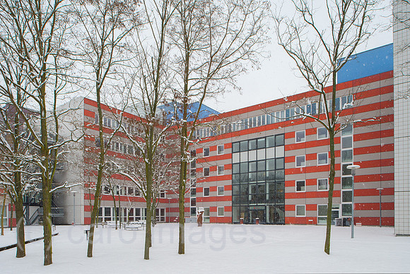 0CE141230D001CARO.JPG
