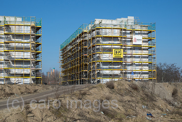 0CE150226D003CARO.JPG