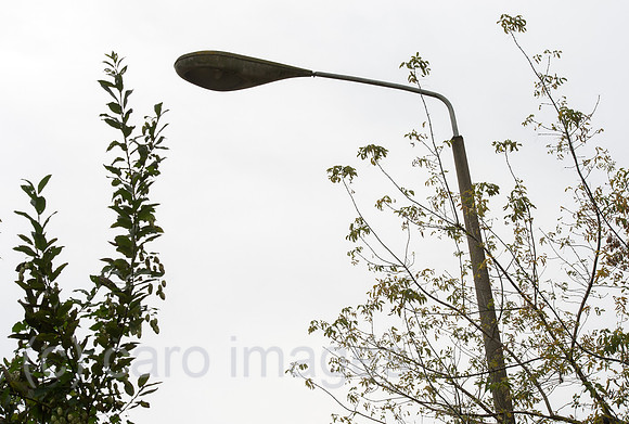 0CE141013D008CARO.JPG