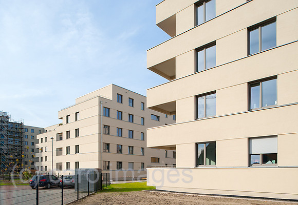 0CE141103D011CARO.JPG