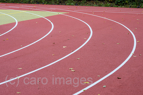 0CE141106D002CARO.JPG