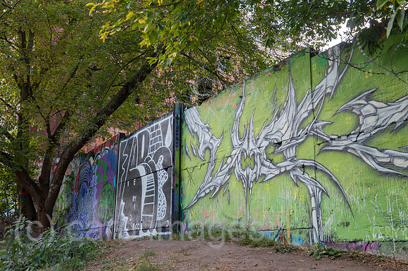 0CE140828D009CARO.JPG