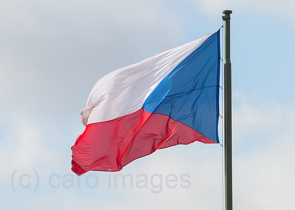 0CE150311D008CARO.JPG