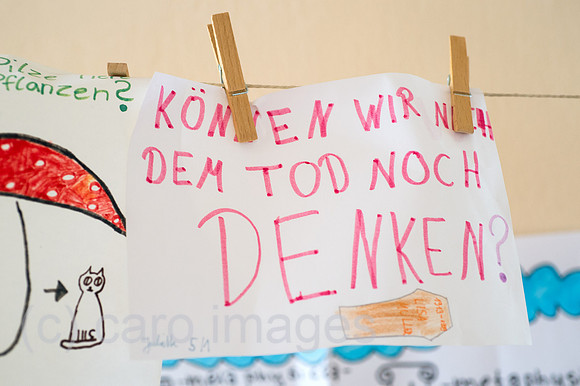 0CE140918D003CARO.JPG