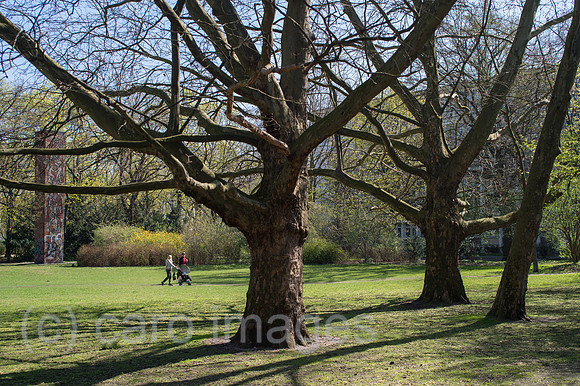 0CE150415D009CARO.JPG