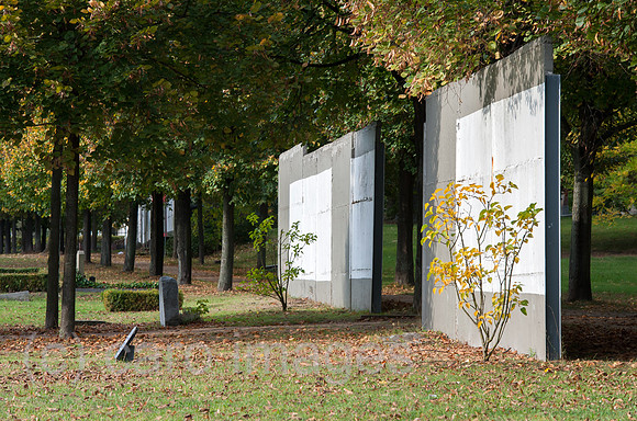 0CE141014D001CARO.JPG