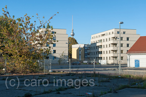 0CE141019D020CARO.JPG