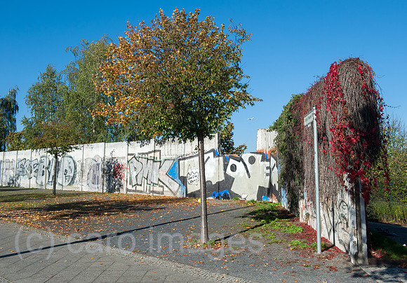 0CE141019D010CARO.JPG