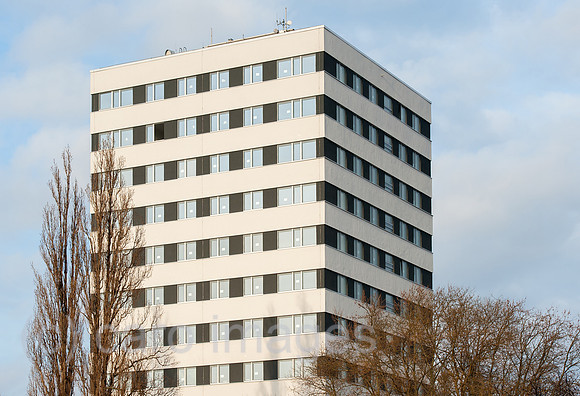 0CE150128D011CARO.JPG