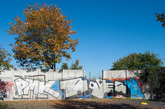 0CE141019D012CARO.JPG