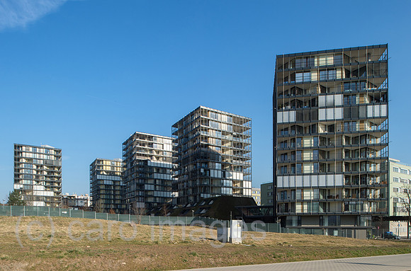 0CE150310D021CARO.JPG