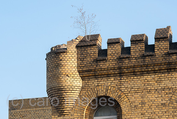 0CE141207D011CARO.JPG