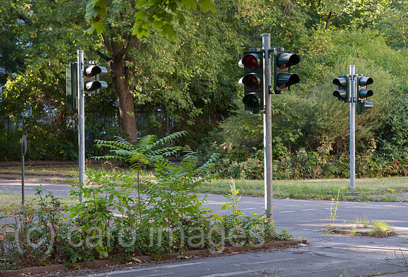 0CE140828D020CARO.JPG