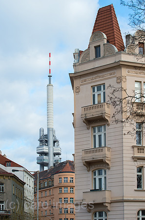 0CE150311D020CARO.JPG