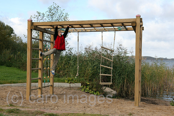 00S101020D022CARO.JPG