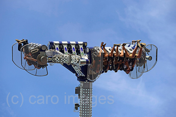 0RL140801D061CARO.JPG