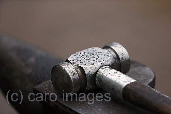 00S180112D655CARO.JPG