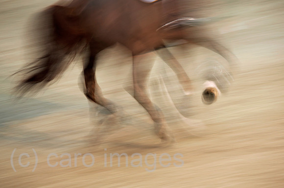 00S180112D031CARO.JPG