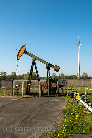 00A220423D487CAROEX.JPG