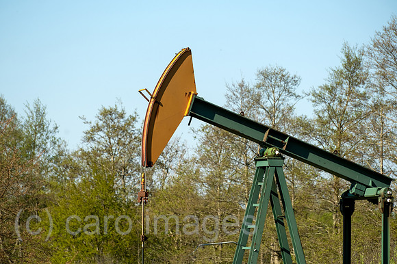 00A220423D364CAROEX.JPG