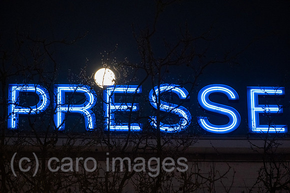 00A220414D083CAROEX.JPG