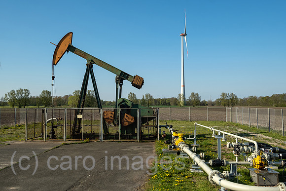 00A220423D482CAROEX.JPG