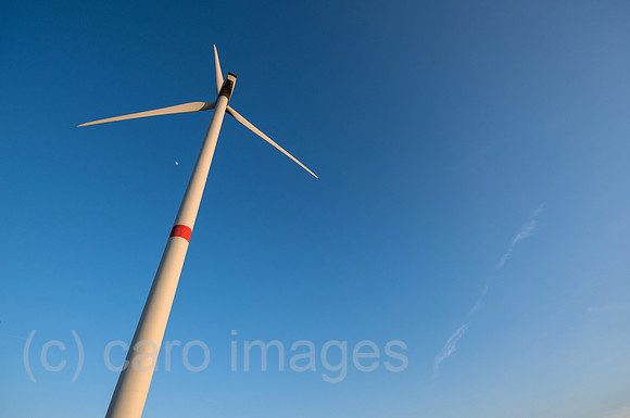00A220312D357CAROEX.JPG