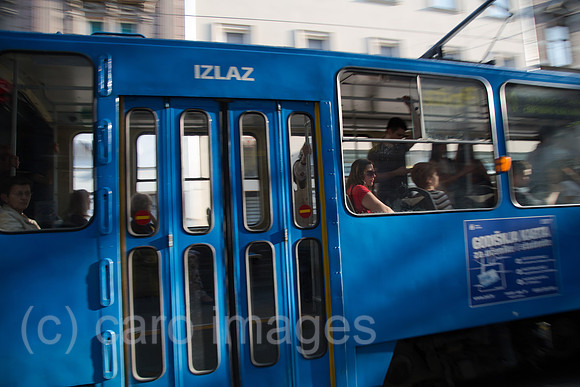 00A160525D112CAROEX.JPG