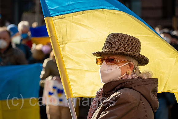 00A220306D006CAROEX.JPG