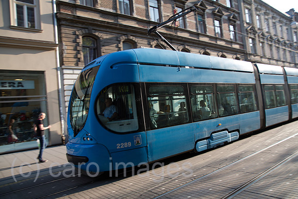 00A160525D115CAROEX.JPG