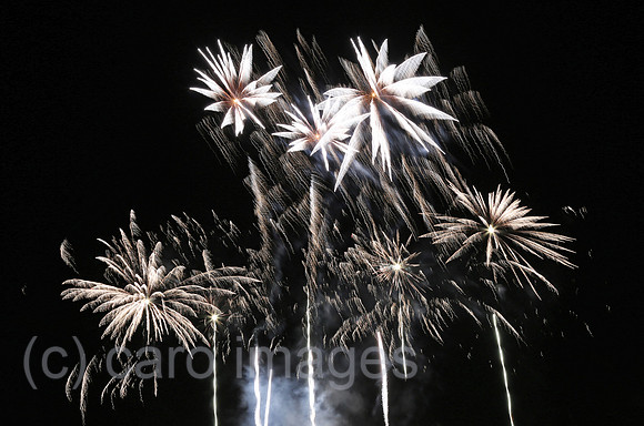 00S150730D803CARO.JPG