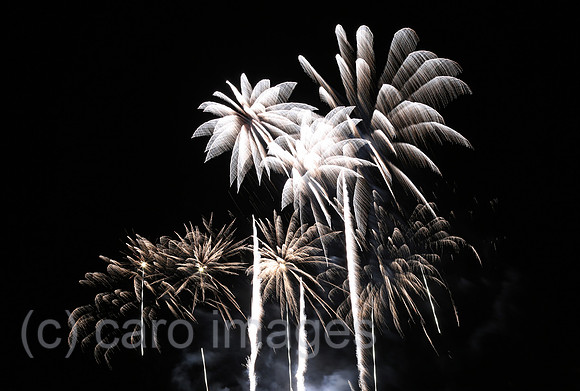00S150730D804CARO.JPG
