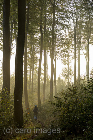Frankreich, Wanderin im Wald im Regionalen Naturpark Nordvogesen, Elsass